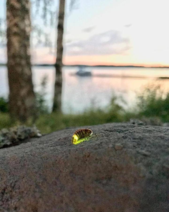 Koskenselkae Camping Villa Puumala Kültér fotó